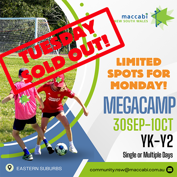 Megacamp 24 YK-Y2 (5)